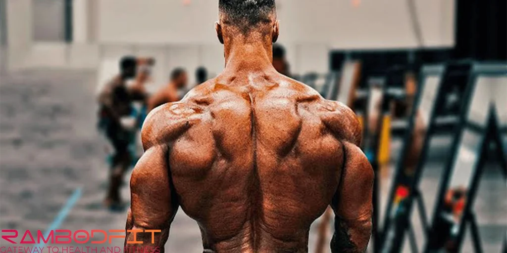 sets for the back to grow per week/genetics