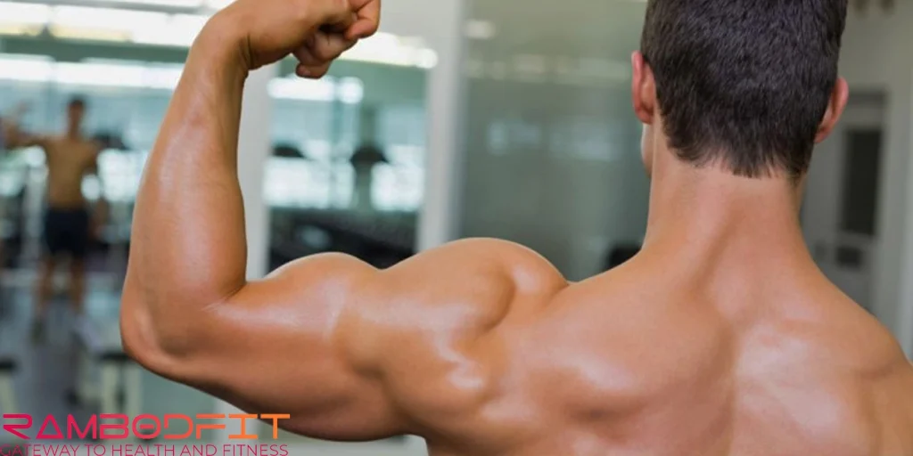Workouts For Shoulder Growth/deltoids