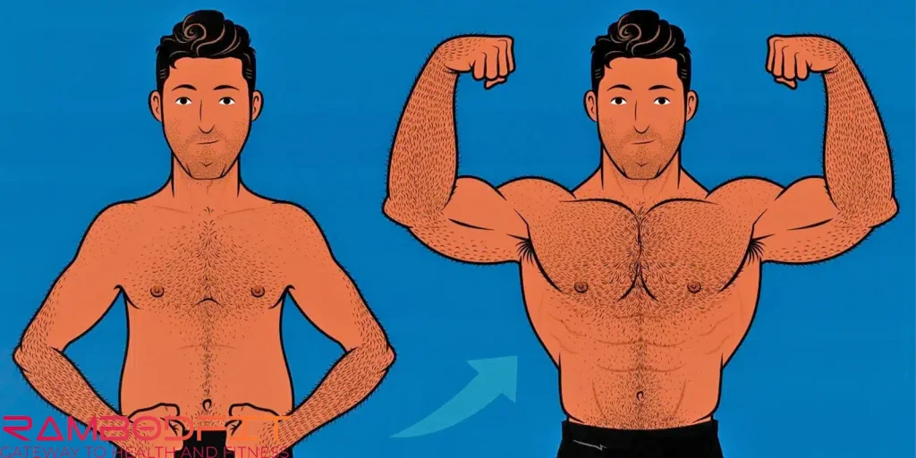 Catabolic Phase In Bodybuilding/transformation