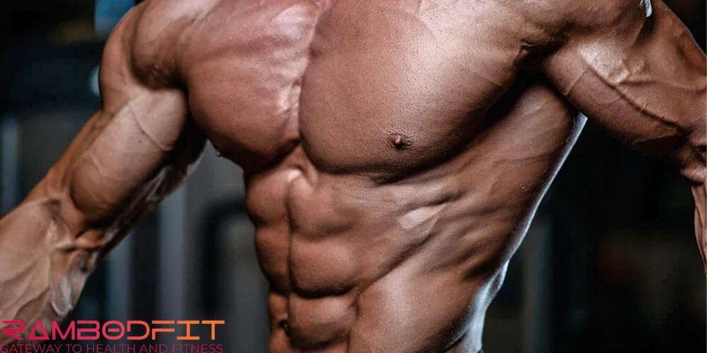 Anabolic phase in bodybuilding/lean