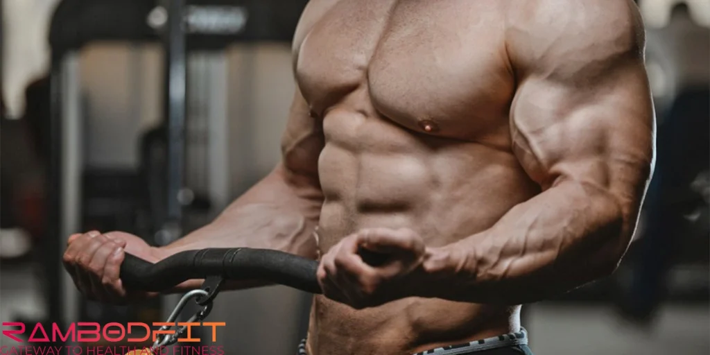 Anabolic phase in bodybuilding/curl