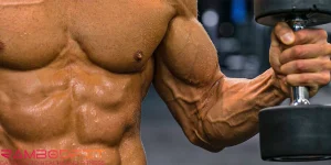 Muscle Hypertrophy