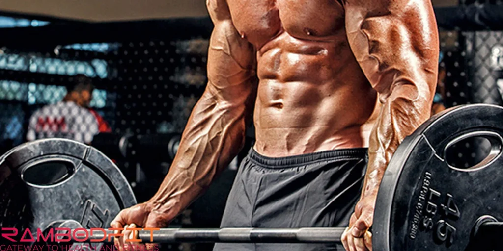 Full-Body Or Split Workouts/barbells