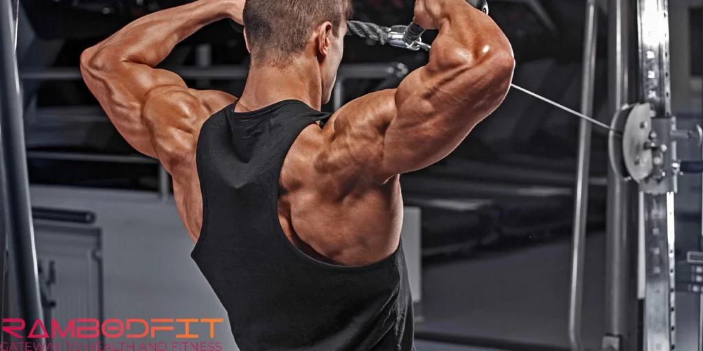 Workouts For Shoulder Growth/face pull