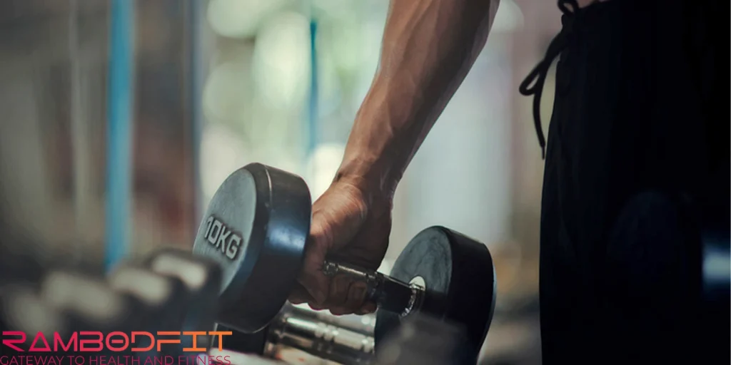 Anabolic phase in bodybuilding/dumbbell