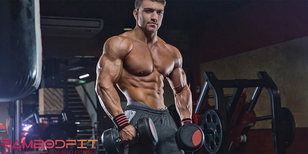 Muscle Hypertrophy/shredded 