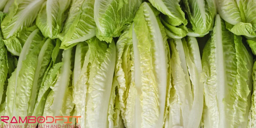 Benefits of Lettuce For Athletes/veggies