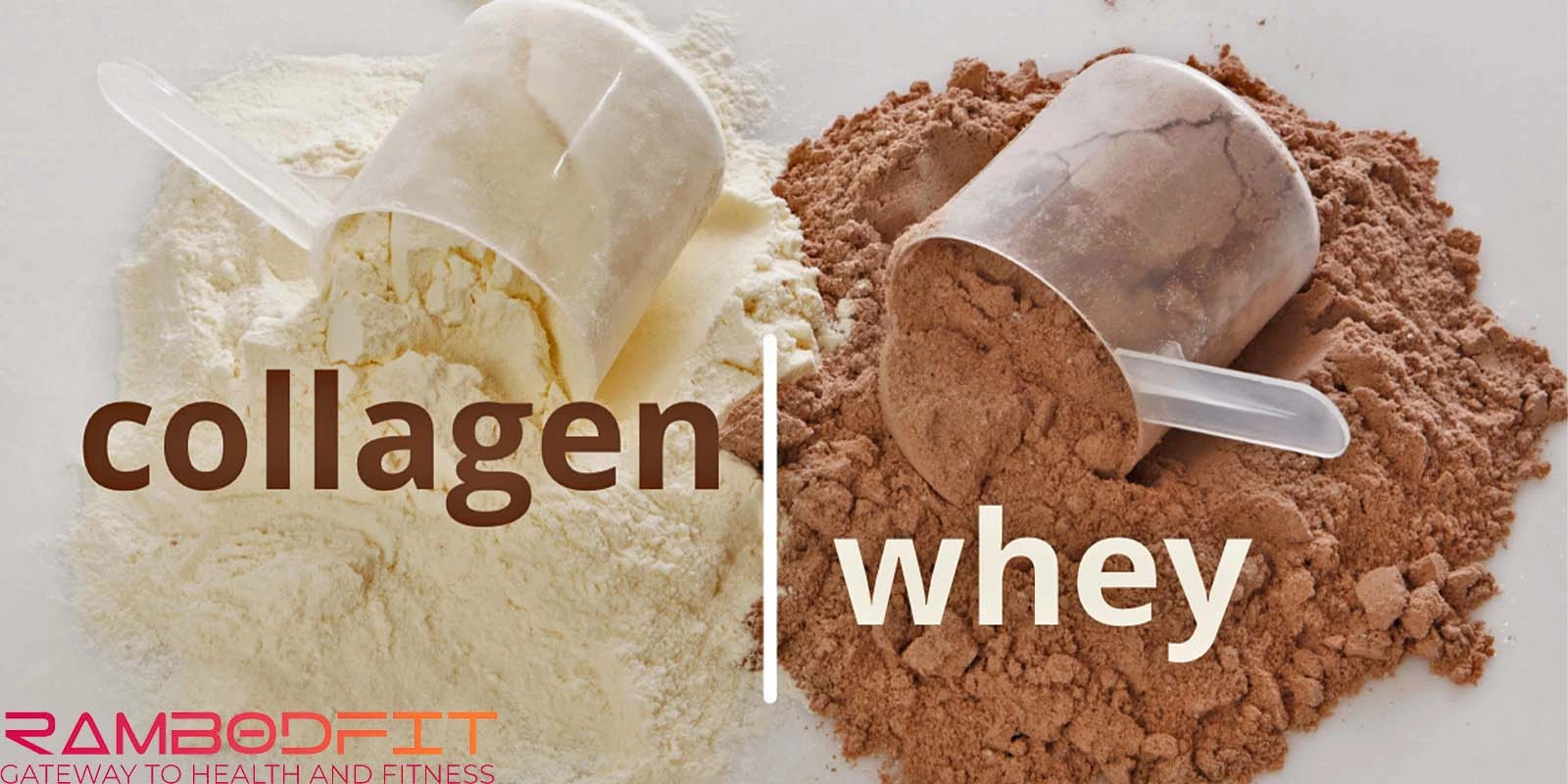 Collagen Vs Whey Protein