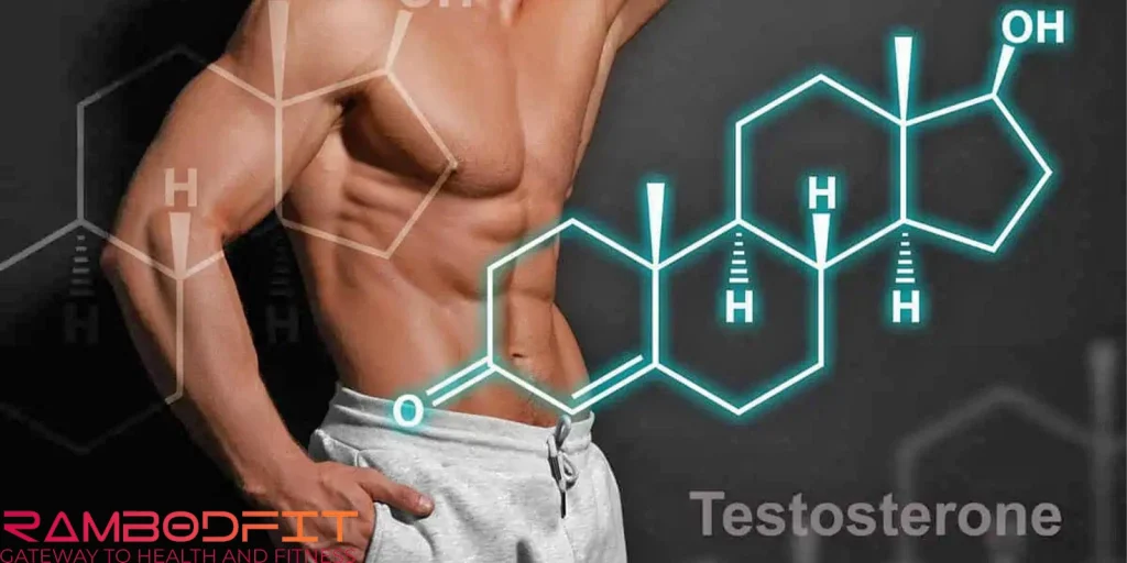 Vitamins and Boosting  Testosterone/fitness