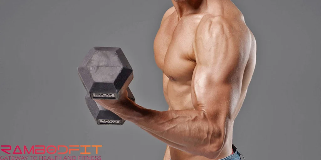 Build Bigger Arms Fast/biceps curl