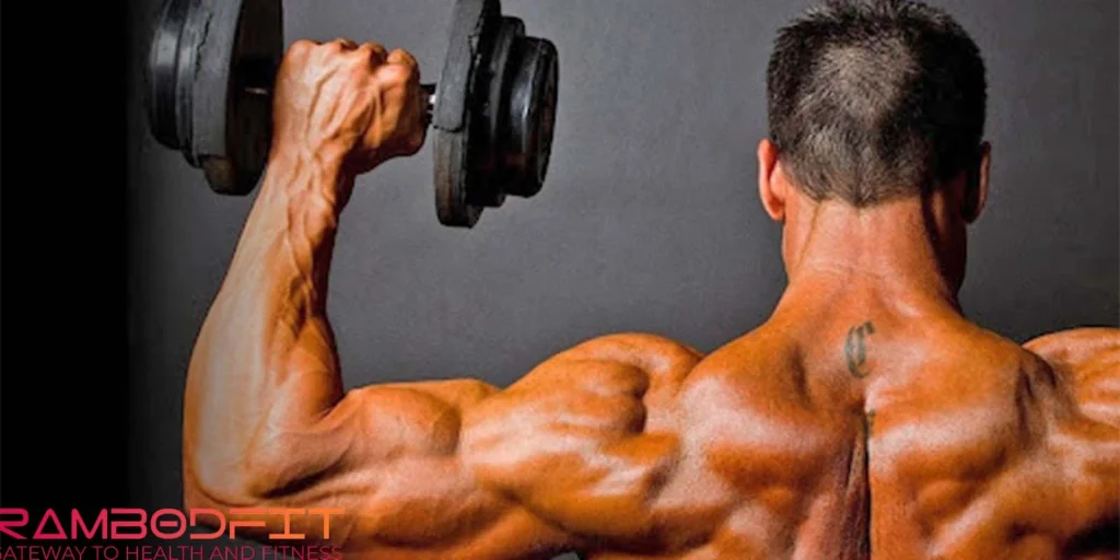 ZMA Supplement For Testosterone/lean