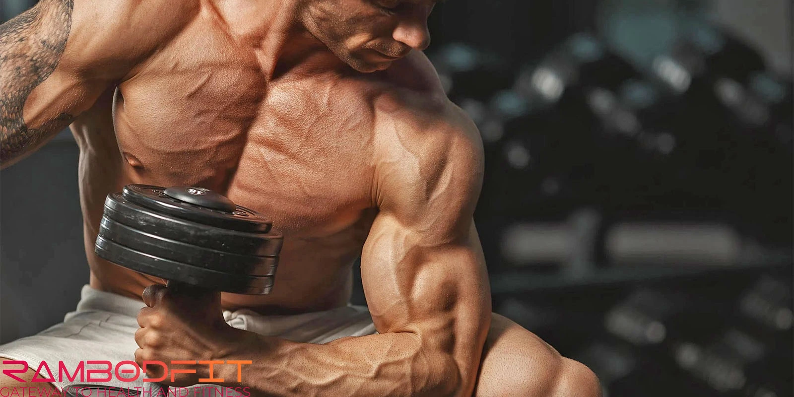 Build Bigger Arms Fast