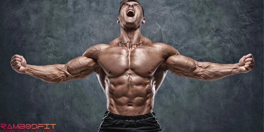 Leanness And Brain Performance/fit