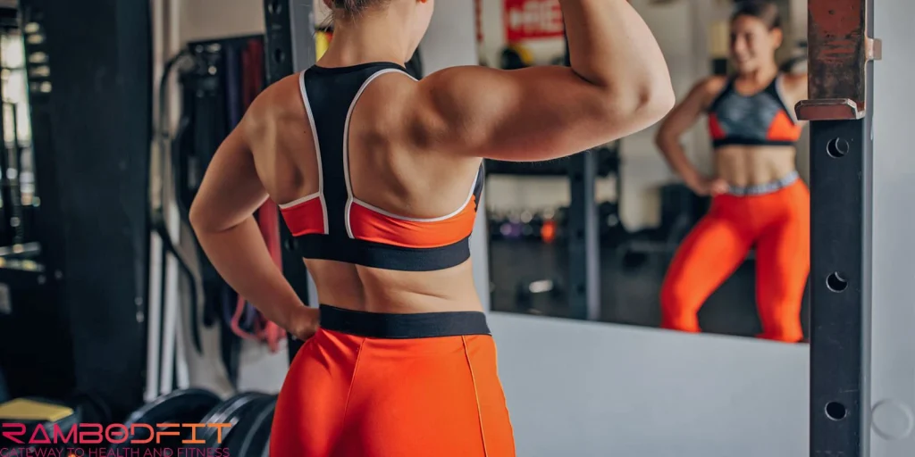 Structure Of Muscle Tissue/hypertrophypertrophy