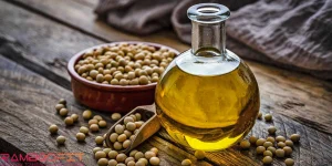 Seed Oils And Health