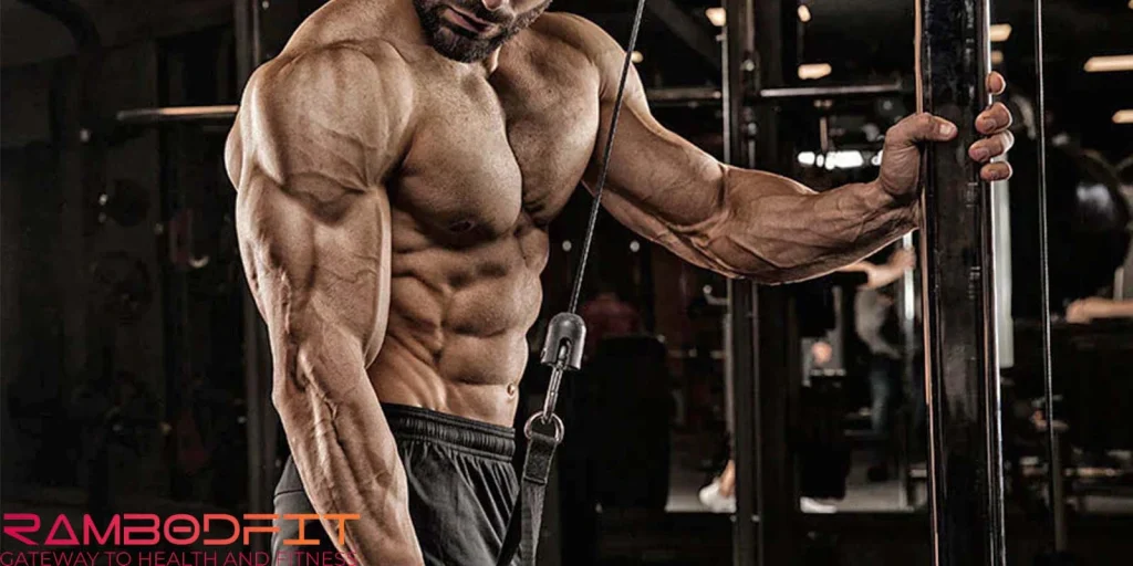 Muscle Growth Post-Workout/shredded 