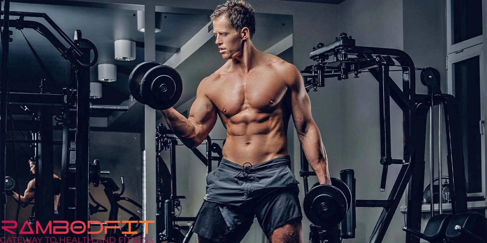 Muscle Growth Post-Workout