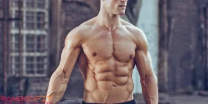 Structure Of Muscle Tissue