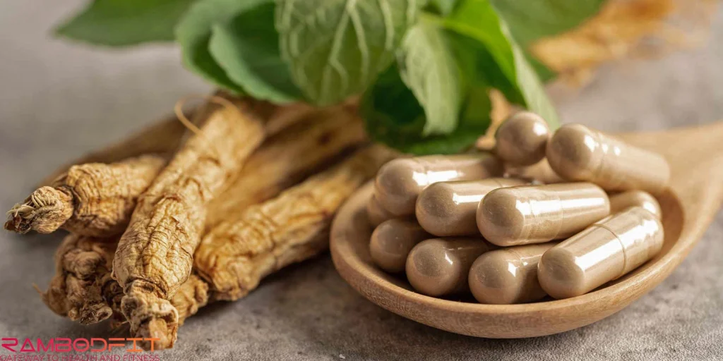Ginseng for Metabolism and Stress