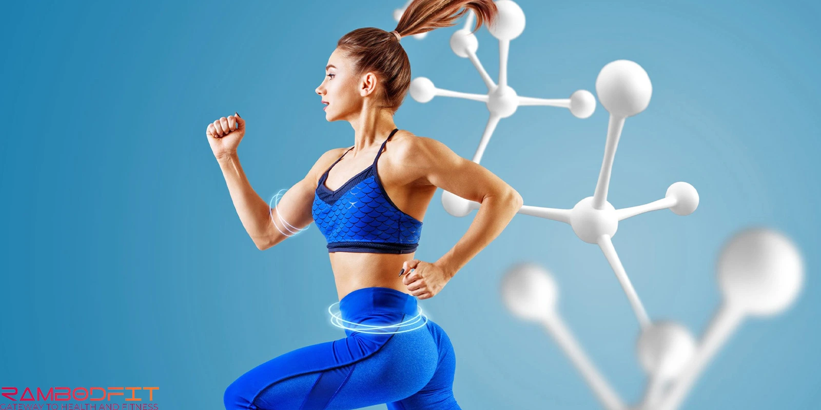 Increase Metabolism with Protein