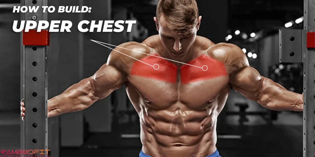 Reverse Grip Chest Training/upper chest