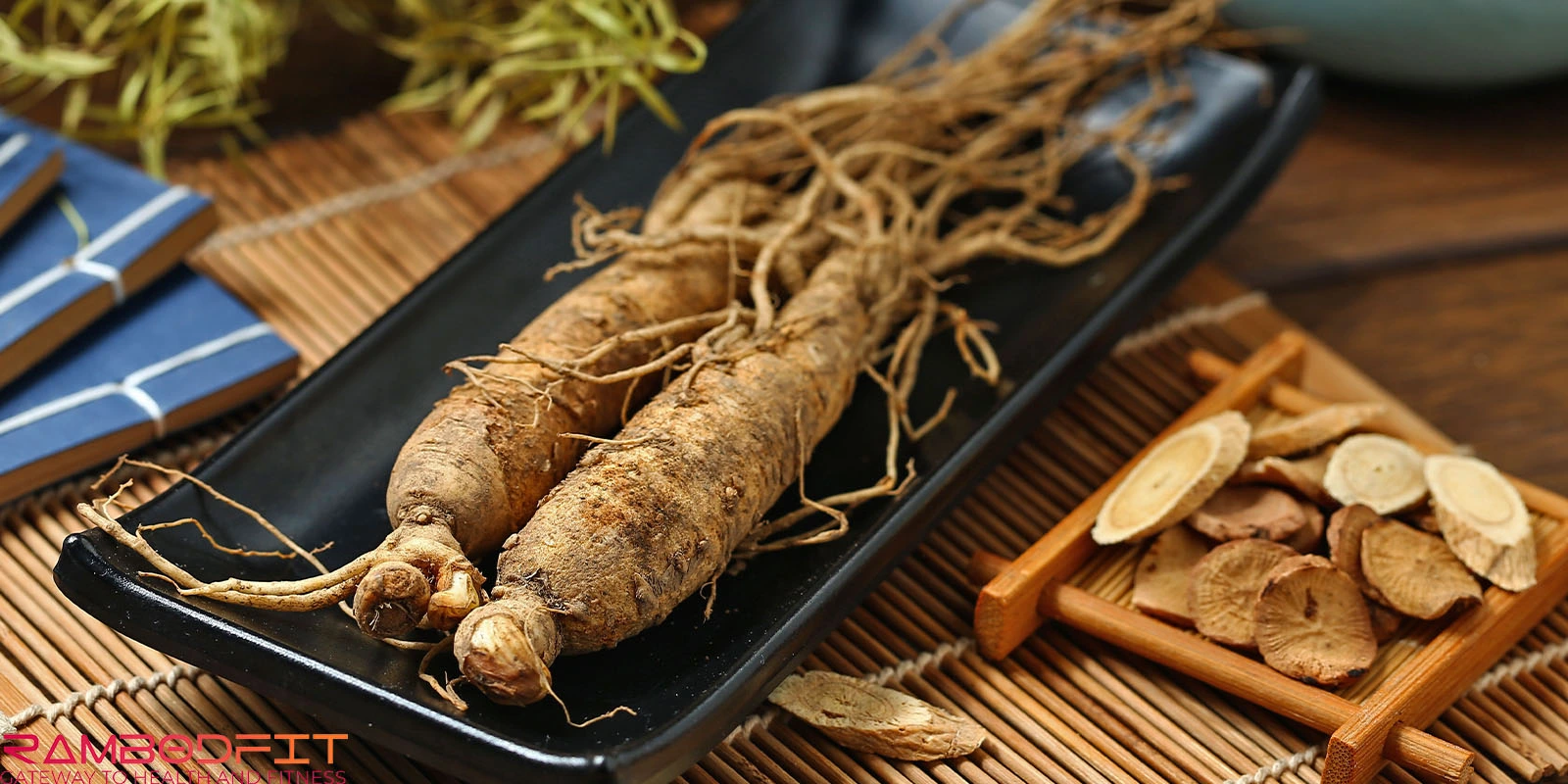 Ginseng for Metabolism and Stress