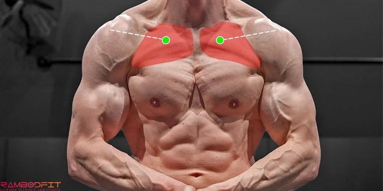 Reverse Grip Chest Training