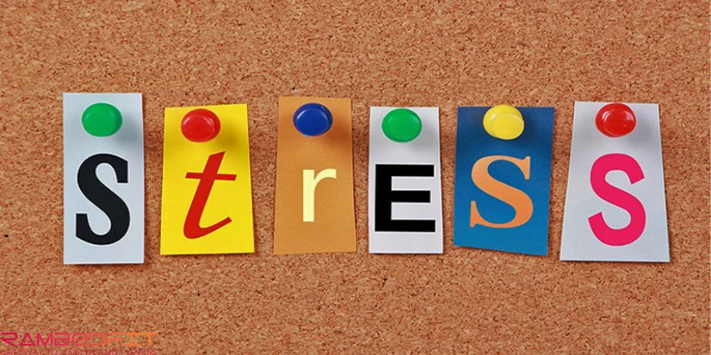 Ginseng for Metabolism and Stress/stress