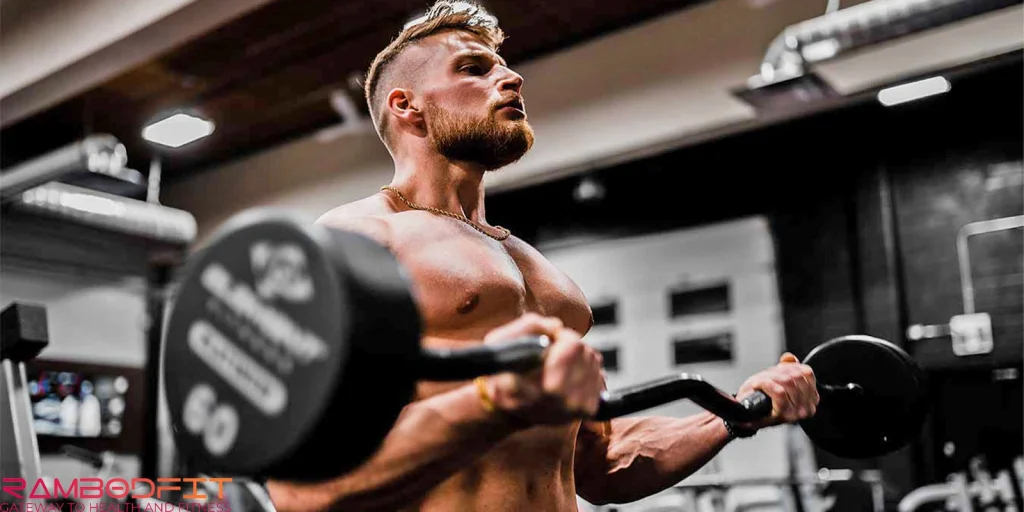 Why Am I Not Gaining Muscle/exercise