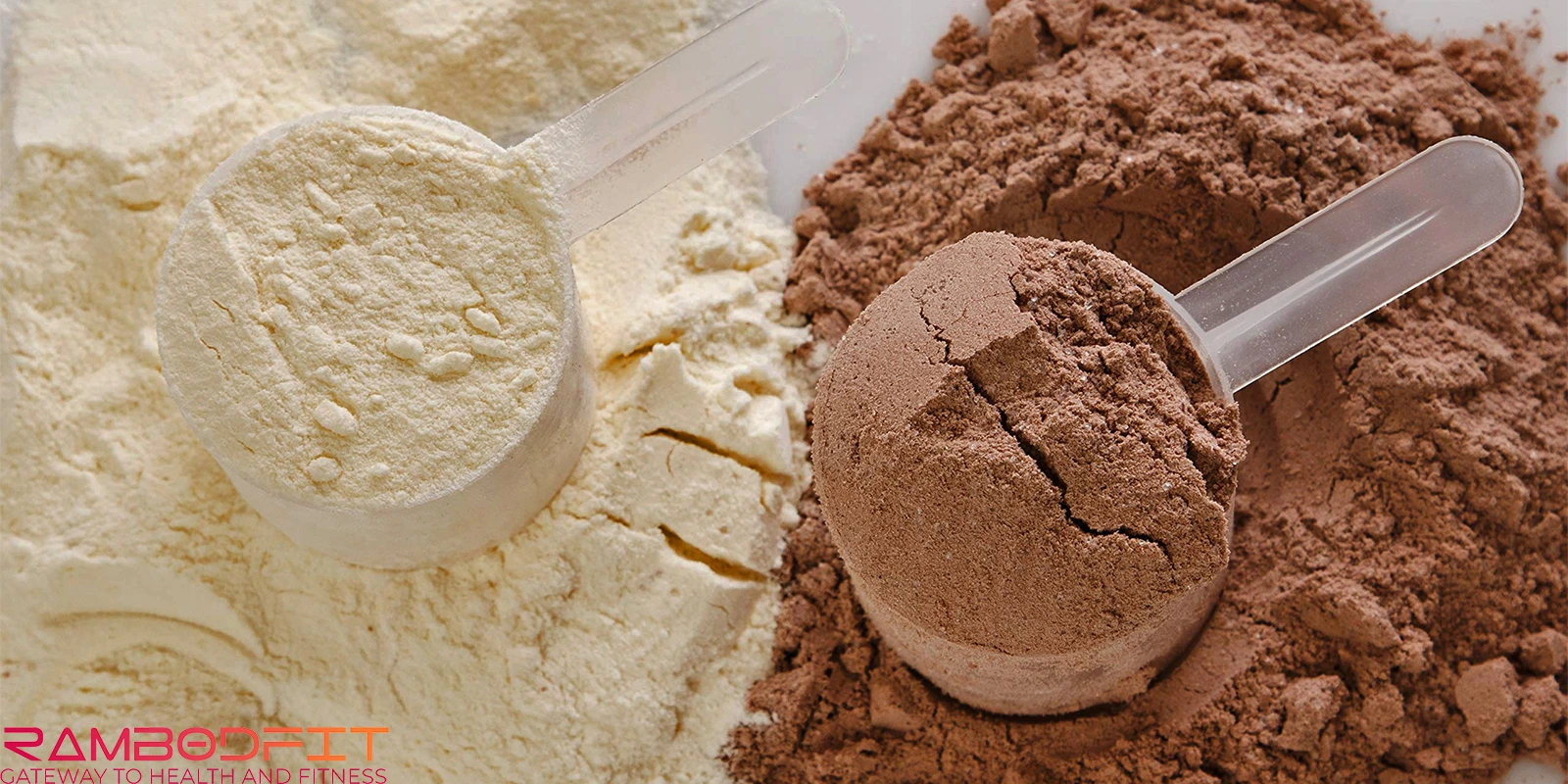 Whey or Casein for Muscle Growth