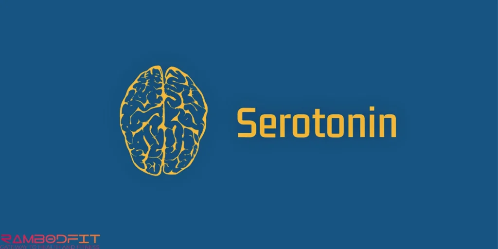 Serotonin for Fat Loss