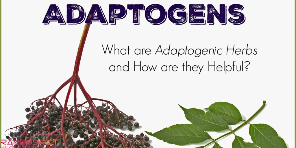 Magnesium vs Adaptogens Effective Stress Reduction