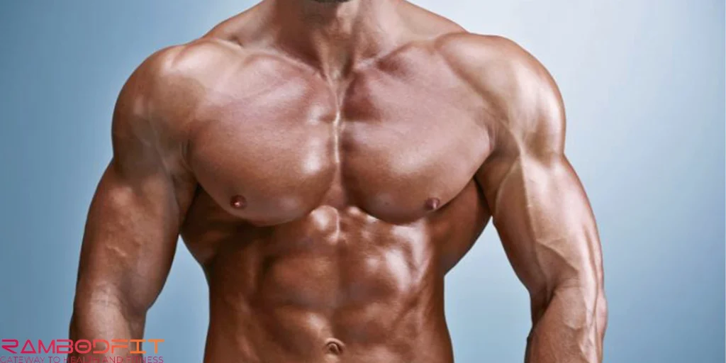 Scientific Best Chest Exercises/lean