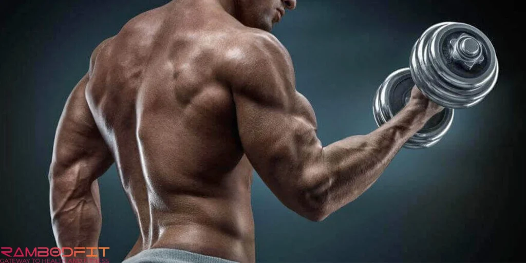 Muscle Memory Training Secrets /back muscle