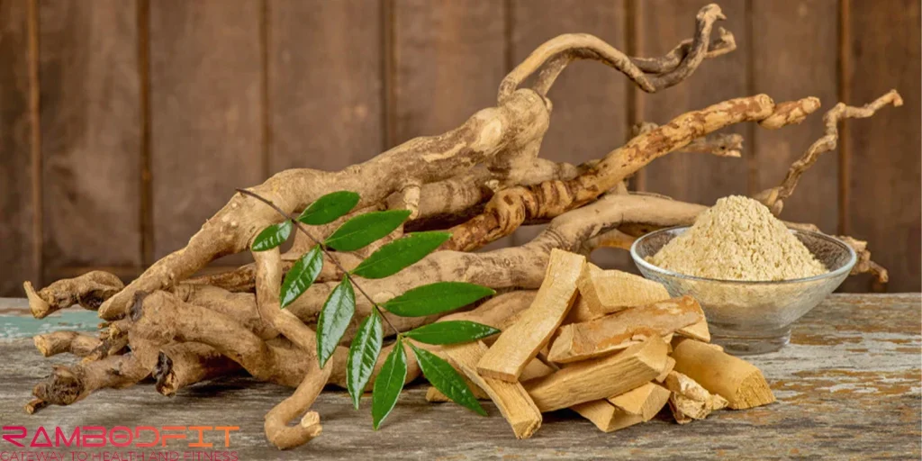 Natural Tongkat Ali Testosterone Booster