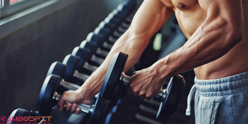 Muscle Memory Training Secrets /dumbbells