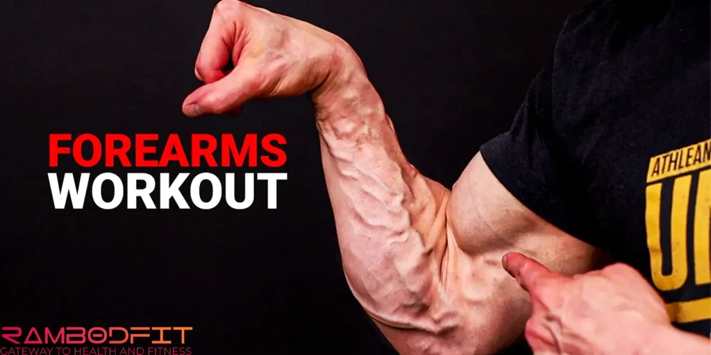 Forearm Muscle Growth Guide/biceps