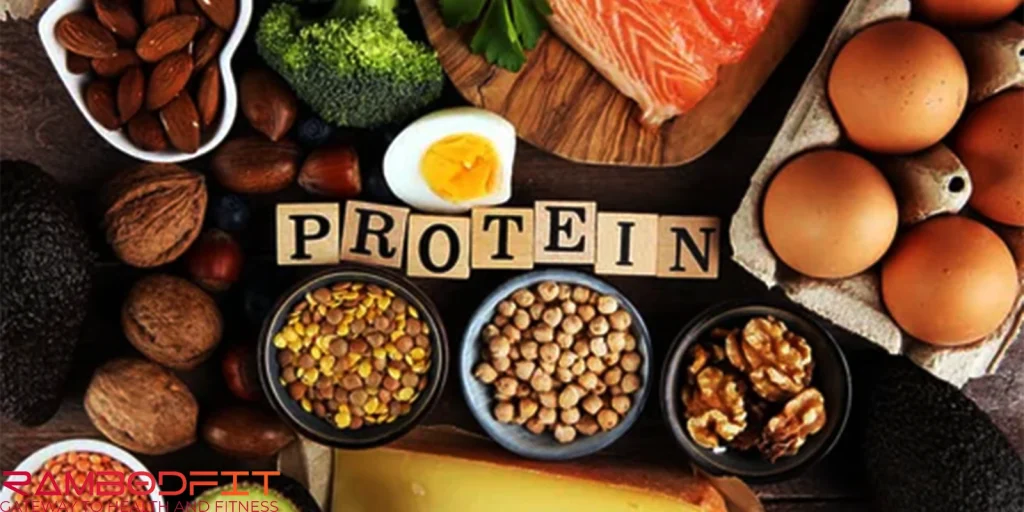 50 Grams Protein Comparison