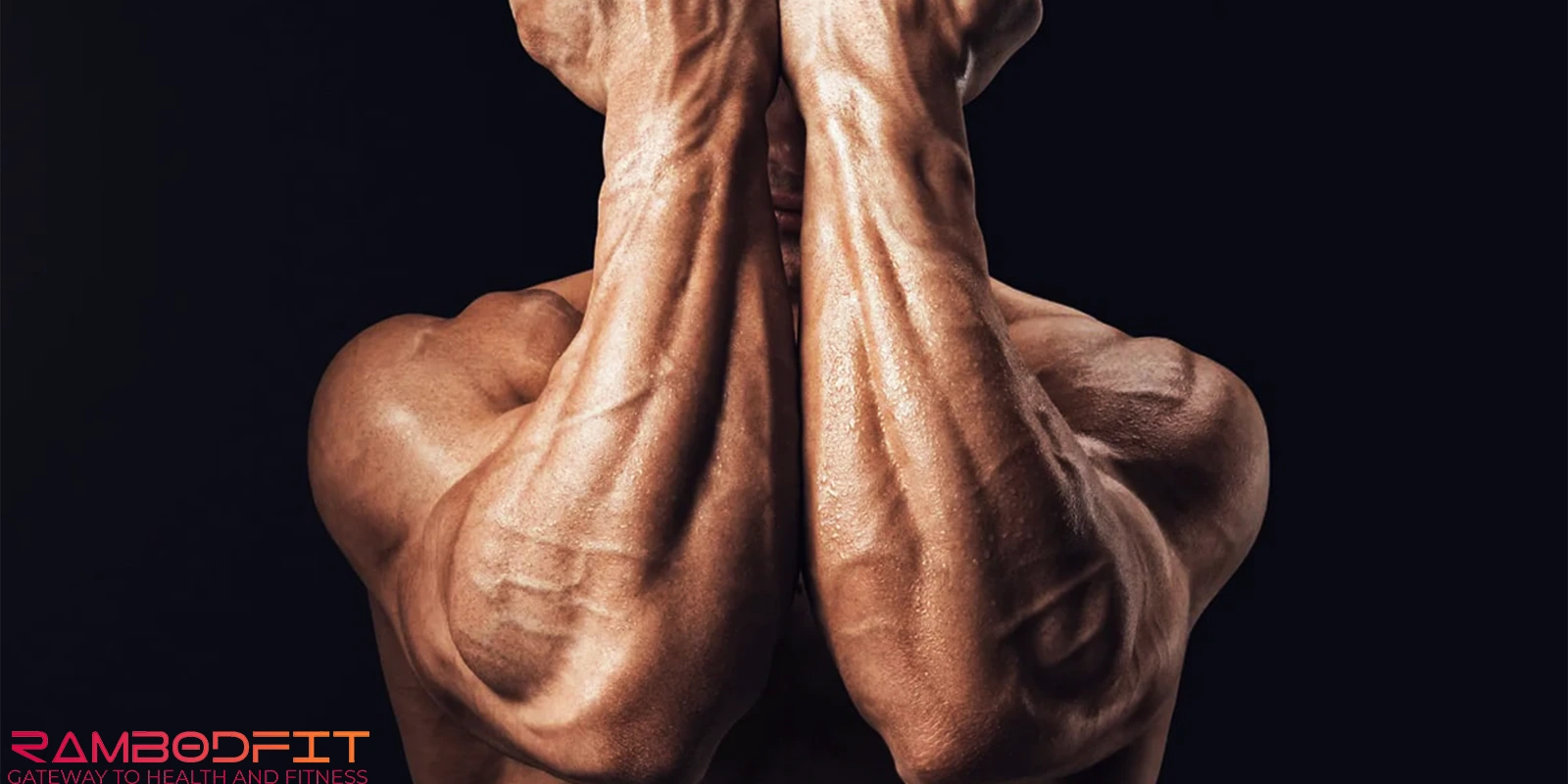 Forearm Muscle Growth Guide