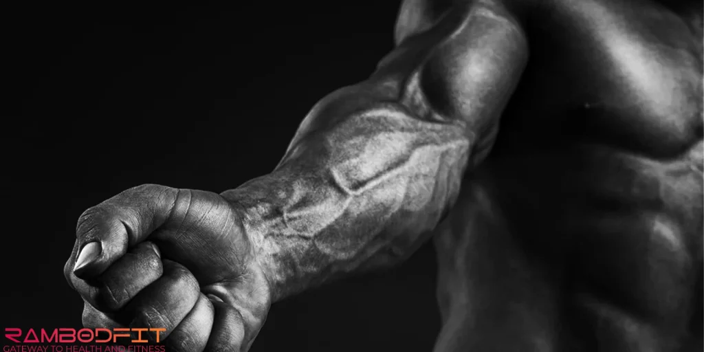 Forearm Muscle Growth Guide/ shredded