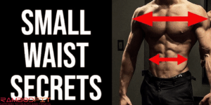 Can Probiotics Make Waist Smaller