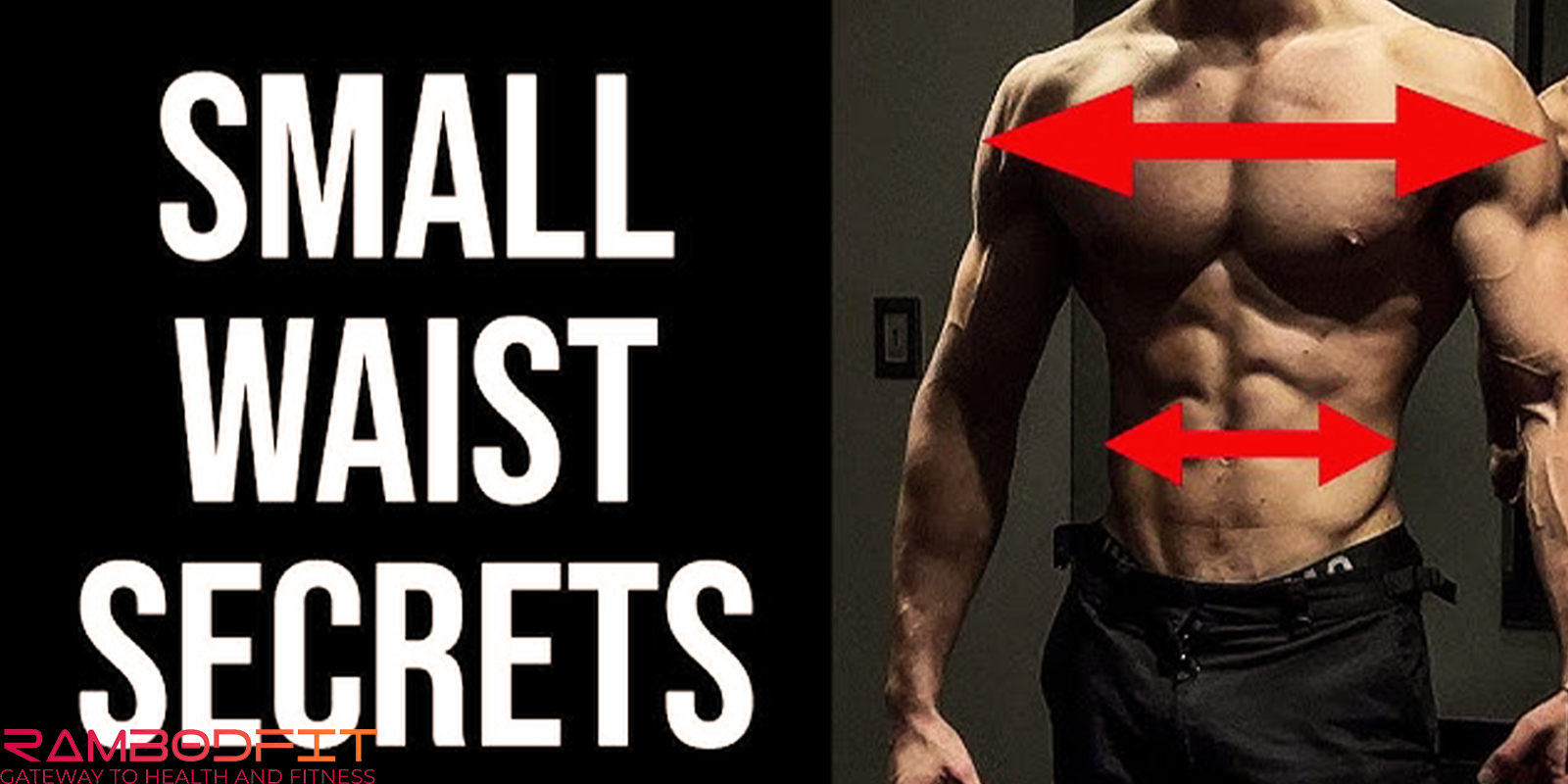 Can Probiotics Make Waist Smaller